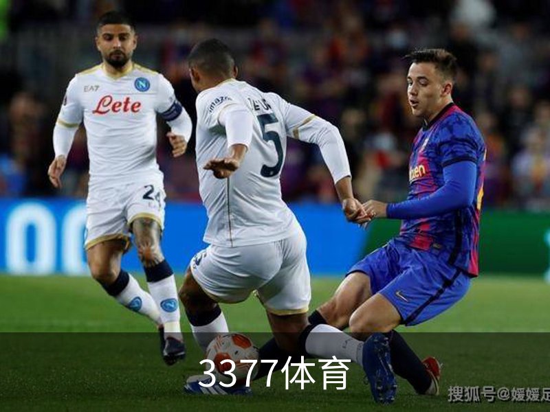 了解3377体育